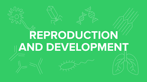 Reproduction and Development